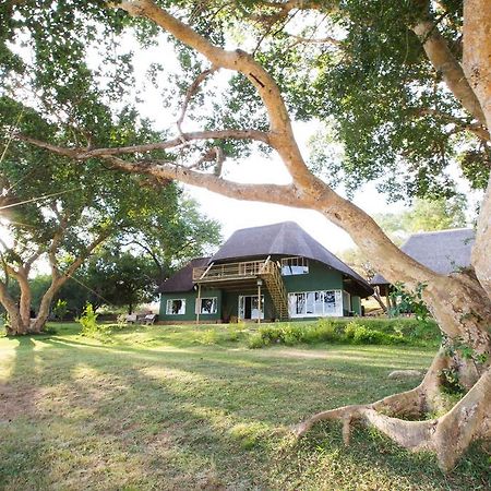 Maninghi Lodge Balule Természetvédelmi Rezervátum Kültér fotó