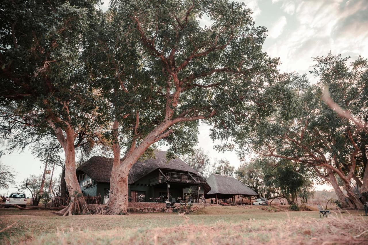 Maninghi Lodge Balule Természetvédelmi Rezervátum Kültér fotó
